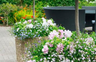 Trefloyne Manor - Photo 26