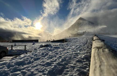 Le petit Marou - Photo 15