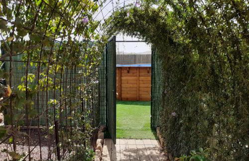 Casa Emblematica Abuelo Rafael - Foto 16