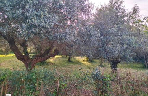 Casale del sole - Foto 11