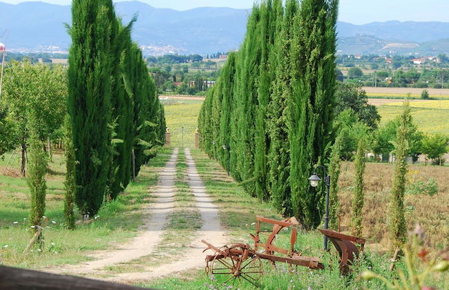 Fattoria Le Giare - Foto 49