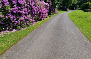 Forest Valley Holiday Home - Foto 34