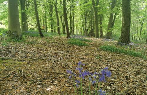 Fern Lodge - Foto 19