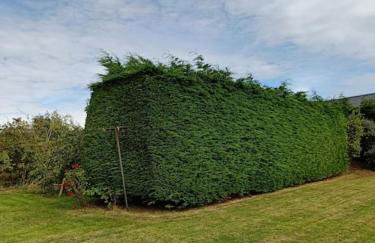 Hillview House - Foto 25