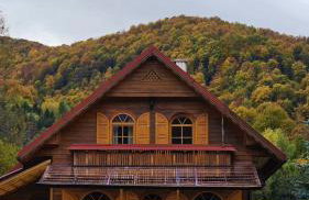 Bieszczadzki Rewir - Foto 17