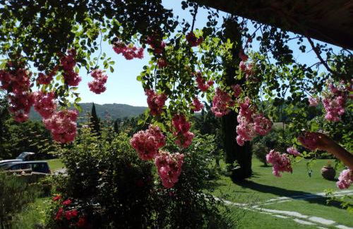 Residence Lucignano - Foto 15