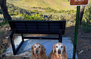 Mountain Top Getaway, BEST VIEW IN SLO! - Whole House - Foto 18