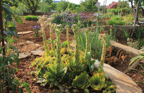 Apartments by the sea Kraj, Pasman - 331 - Photo 11