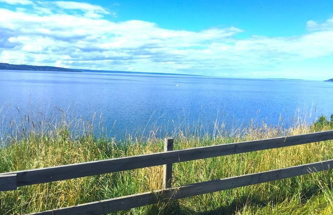 Villa Björkhagen - Foto 50