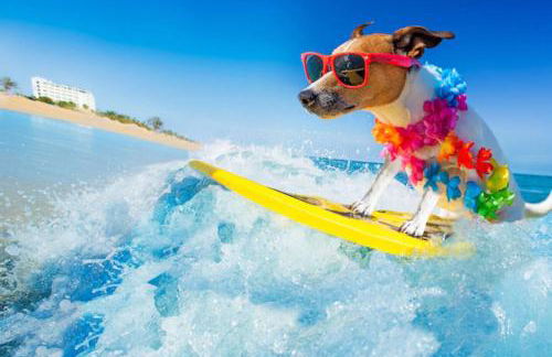 Island Time Oasis Pool Walk to Beach & Balcony - Foto 21