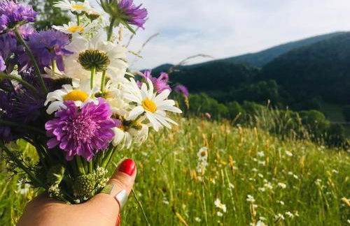 L'étable du Vercors - Foto 28