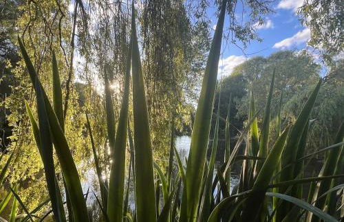 Riverside Studio - Foto 7