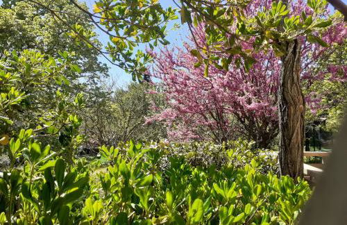 La Pigoussette - Photo 44