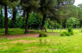 Le gite d Henri - Photo 15