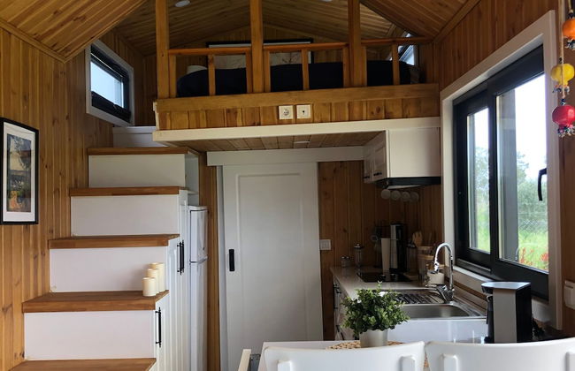 Radika Datca - Photo 12