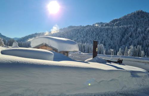 Ferienhof "Alpe Berg" - Photo 27