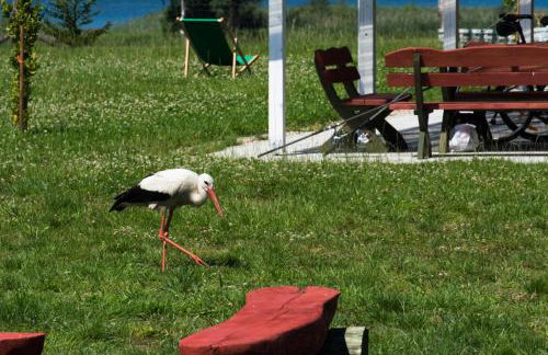 Miła Dolina - Foto 31