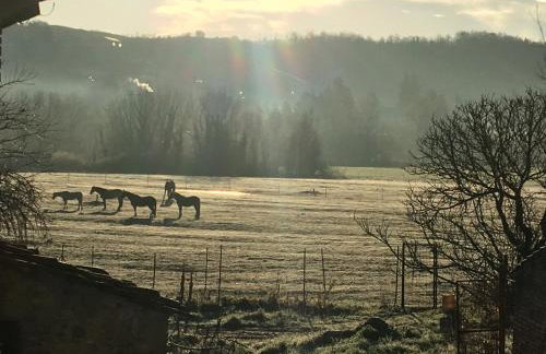 Le Gualchiere - Photo 54