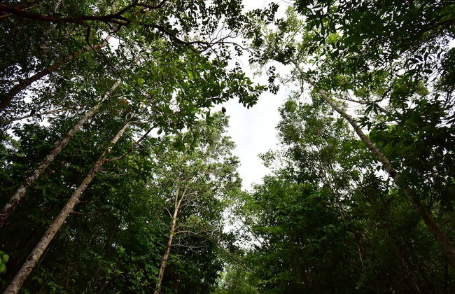 Na Sook Resort - Photo 78