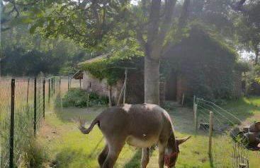Ferme Pédagogique Bordeneuve - Foto 36