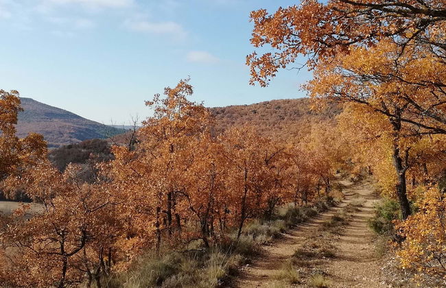 Quejigares de Barriopedro & Brihuega Hiking Tour - Photo 1