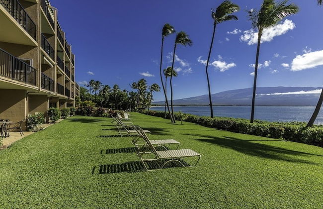 Maalaea Banyans 217 1 Bedroom Condo - Photo 40