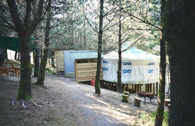 Mushroom Yurt set in 4 Acres of Woodland and Lakes - Foto 1