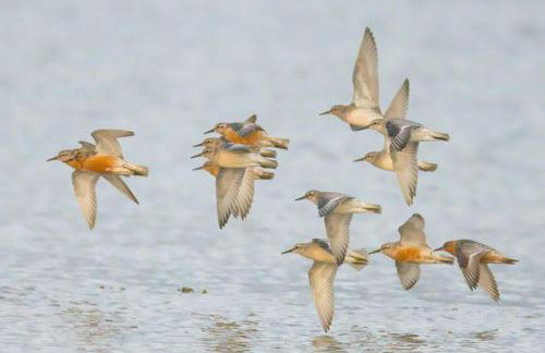 Beautiful House in Village, Newburgh, Ellon - Foto 6