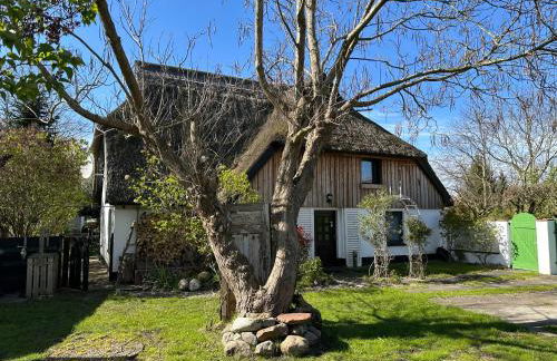 Naturwerk Ostsee - Foto 53