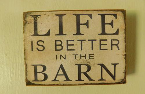 Country living at the Barn - Foto 7