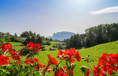 Appartments Neuhof - Photo 25