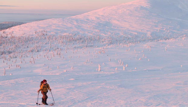 Pallas-Yllästunturi National Park Snowshoe Tour - Foto 2