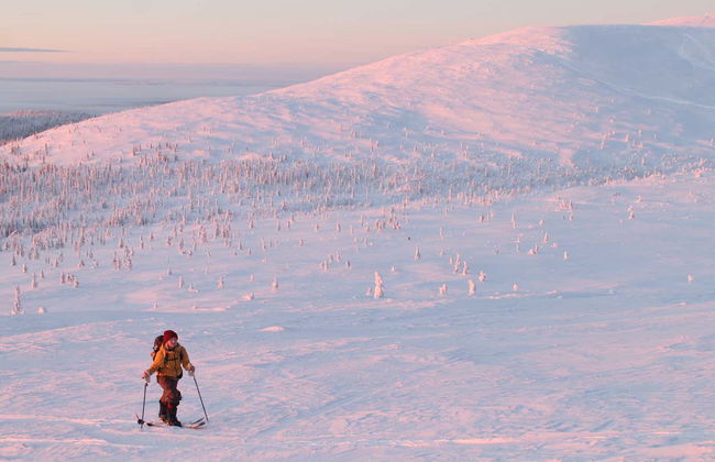 Balade en raquettes à neige dans le Parc Pallas-Yllästunturi - Photo 1