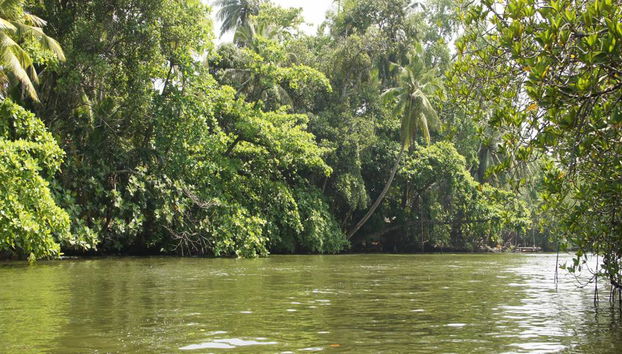Journée complète à Galle avec la rivière de Balapitiya - Photo 3