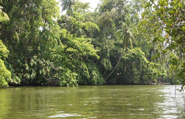 Journée complète à Galle avec la rivière de Balapitiya - Photo 3