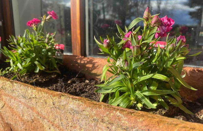 Countryside Home Located Just Outside Dublin City - Foto 36