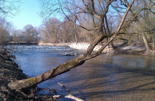 Pure Nature Munich - Amper Meadows/Freising - Foto 54