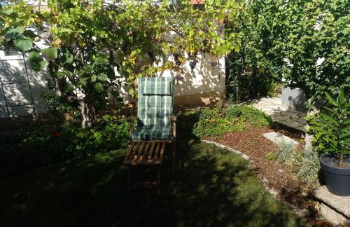 Kakteengarten - Foto 8