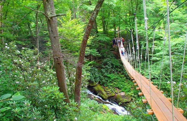 Unforgettable Dreams - Foto 26