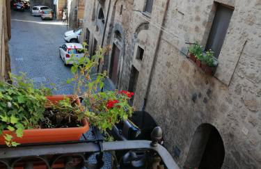 Alla cava Orvieto - Foto 13