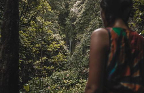 9 Furnas Villa - Photo 27