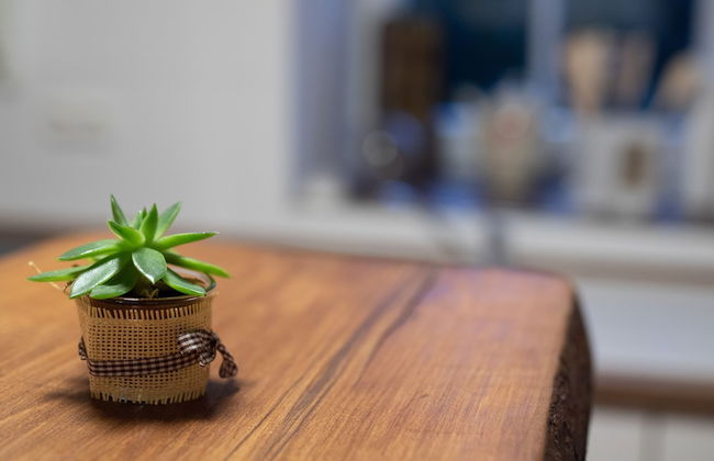 Gesindehaus Börnecke - Foto 12