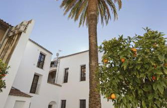 Palacio Muñoz Chaves Cáceres - Foto 41