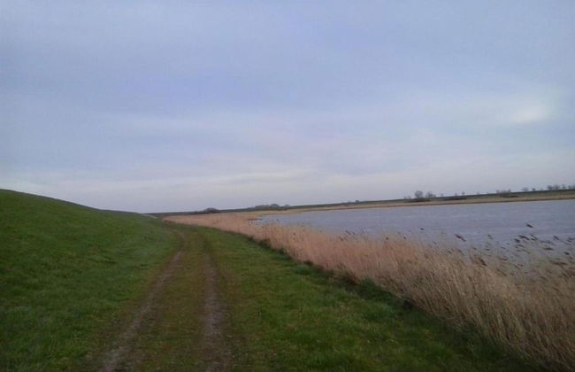 Villa in Zeeland With Jacuzzi and Sauna - Foto 38