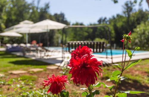 Apartments Cetri Hrasta - Foto 57