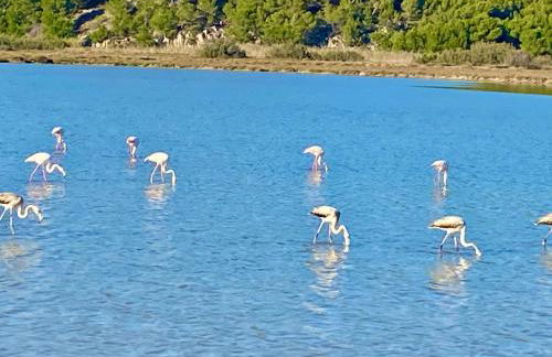 Chalet L' Aliénor avec JACUZZI VUE MER 1ère ligne - Foto 26