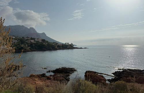 Appartement face à la mer - Foto 13