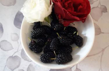 Pecore Ribelli - Photo 9