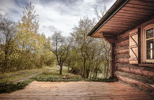 Pod lasem i niebem - Foto 13