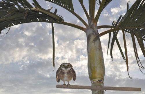 Casa no coração de Maricá - Foto 37